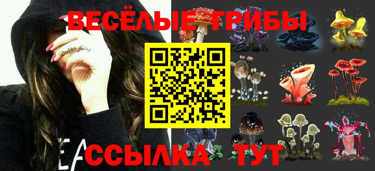 Химки  Галлюциногенные грибы Psilocybe  Вход с VPN 
